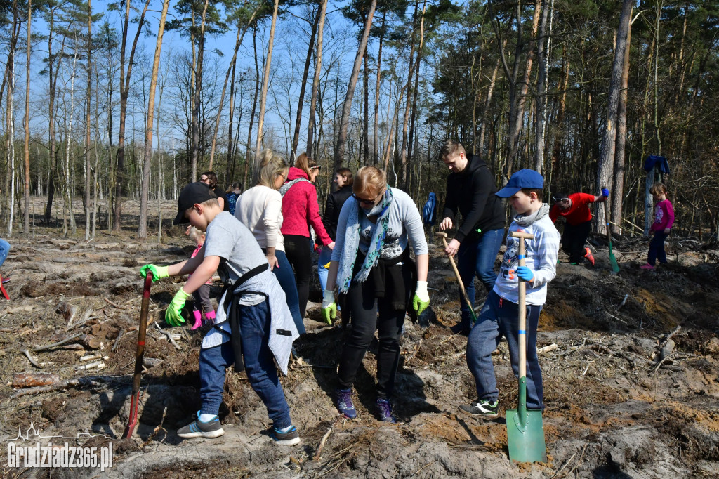 Grudziądzanie wpólne sadzą las- akcja CEE