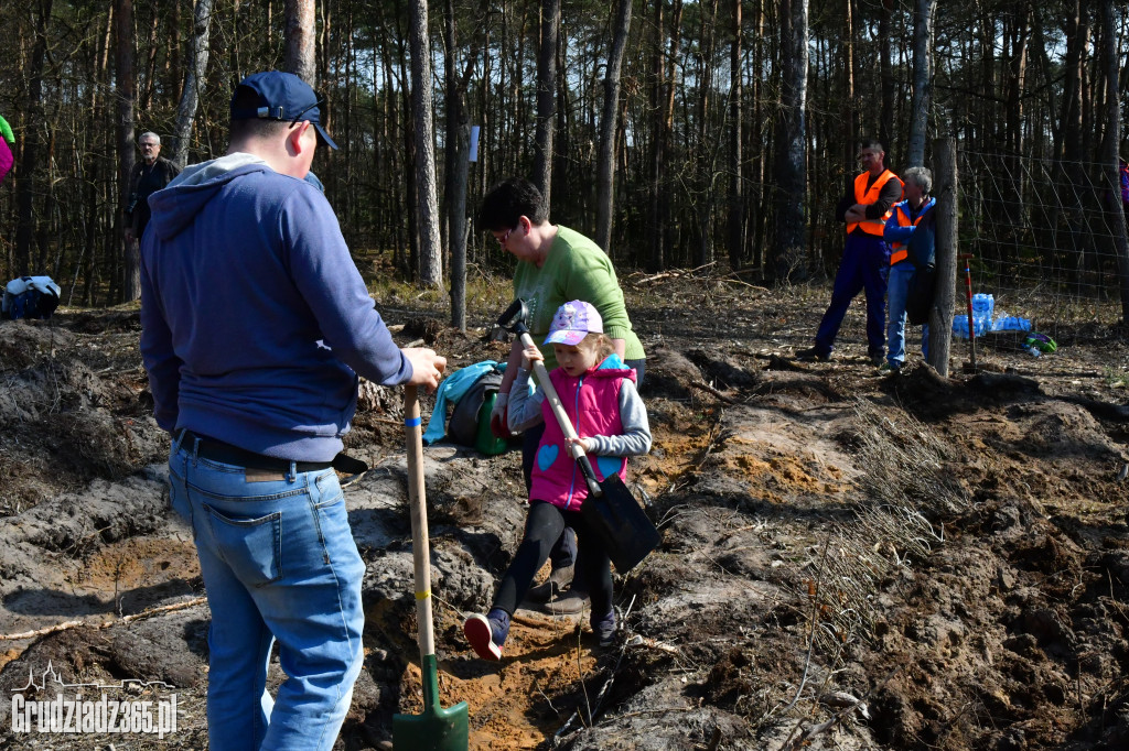 Grudziądzanie wpólne sadzą las- akcja CEE