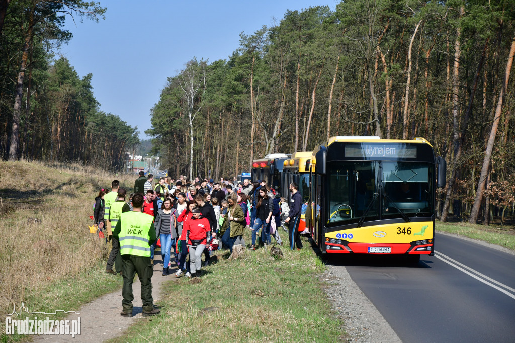 Grudziądzanie wpólne sadzą las- akcja CEE