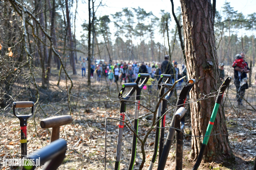 Grudziądzanie wpólne sadzą las- akcja CEE