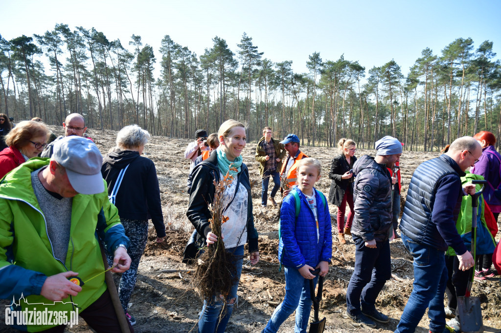 Grudziądzanie wpólne sadzą las- akcja CEE