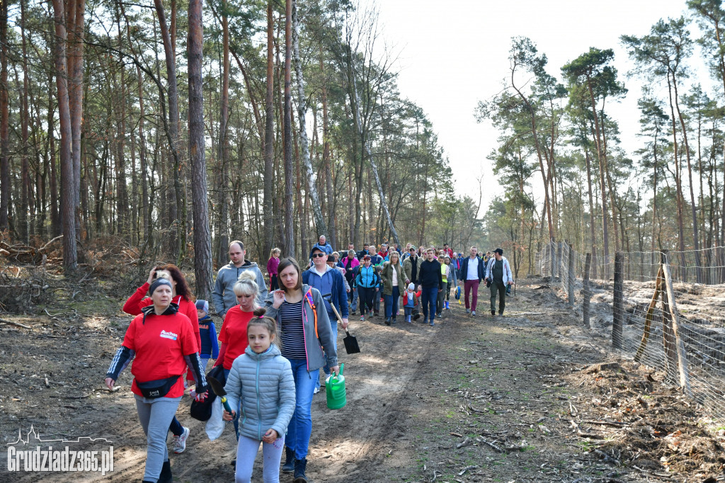 Grudziądzanie wpólne sadzą las- akcja CEE