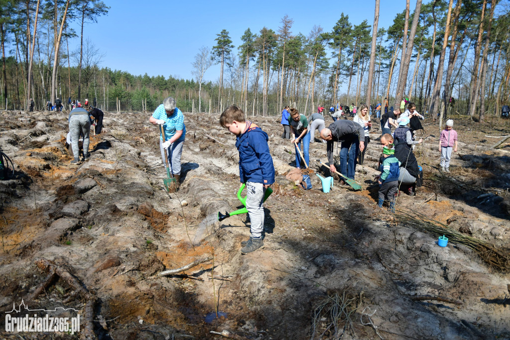 Grudziądzanie wpólne sadzą las- akcja CEE