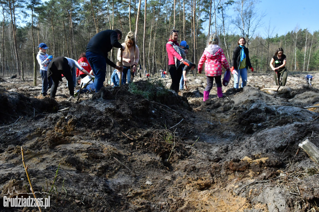 Grudziądzanie wpólne sadzą las- akcja CEE