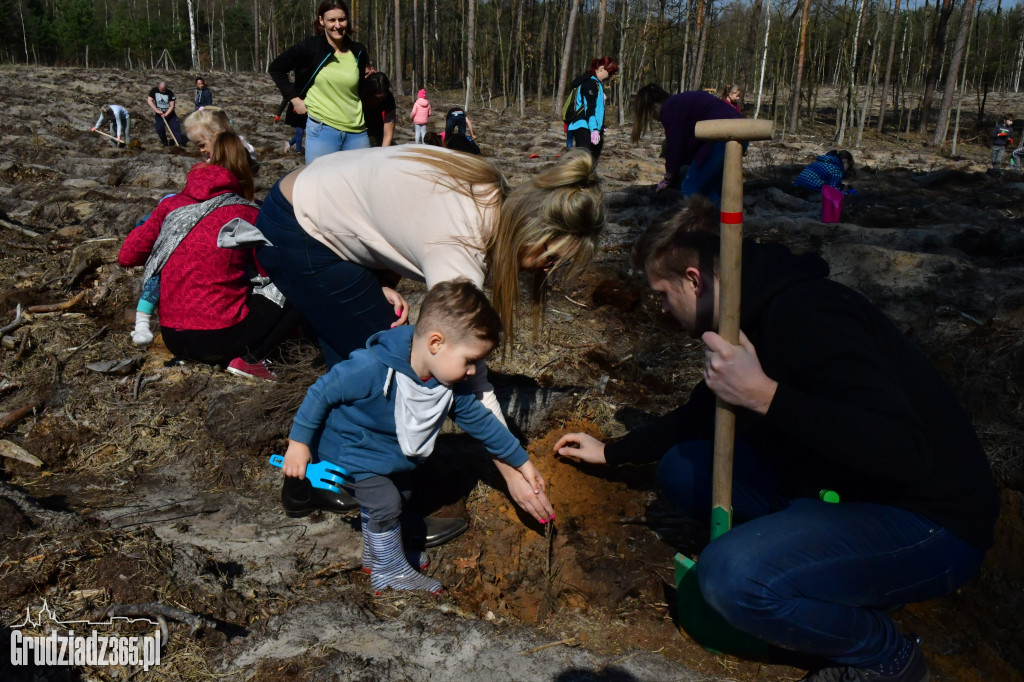 Grudziądzanie wpólne sadzą las- akcja CEE
