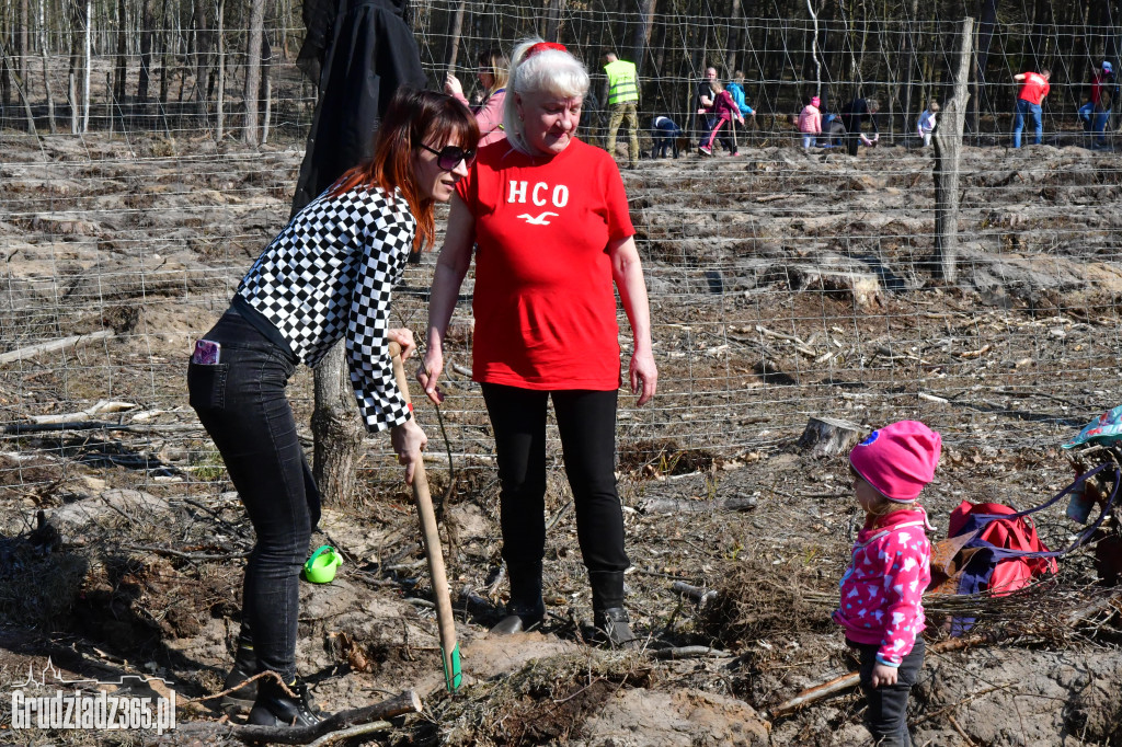 Grudziądzanie wpólne sadzą las- akcja CEE
