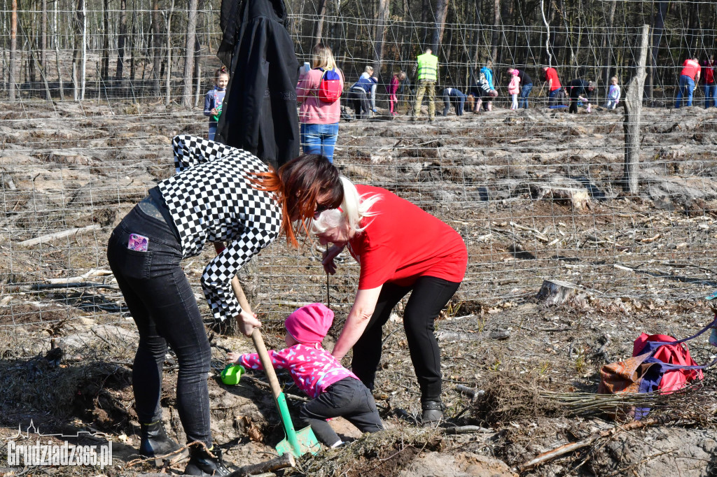 Grudziądzanie wpólne sadzą las- akcja CEE