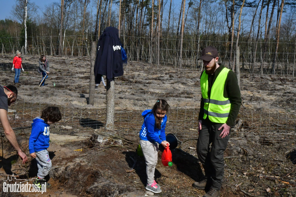 Grudziądzanie wpólne sadzą las- akcja CEE