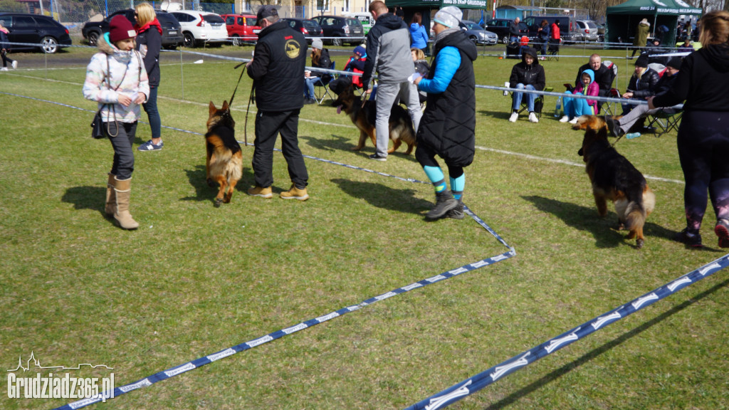 Wystawa Psów Rasowych