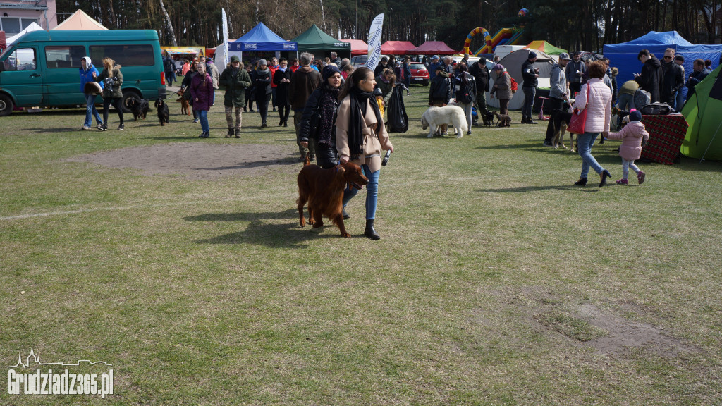 Wystawa Psów Rasowych