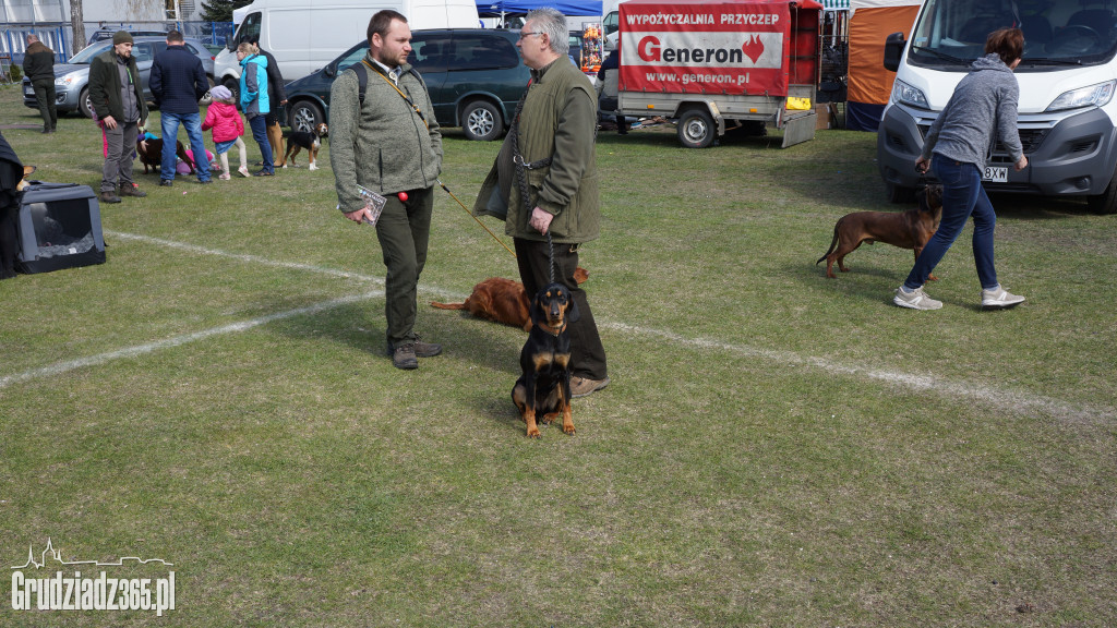 Wystawa Psów Rasowych