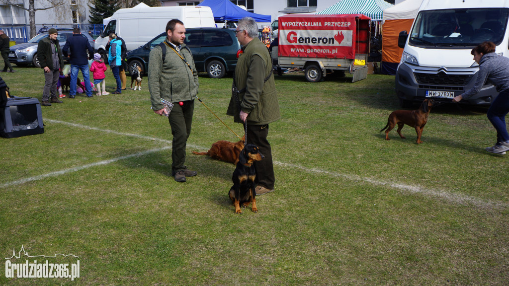 Wystawa Psów Rasowych
