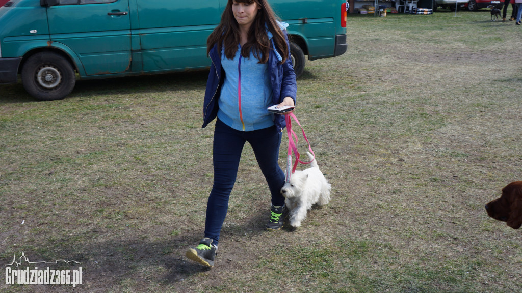 Wystawa Psów Rasowych