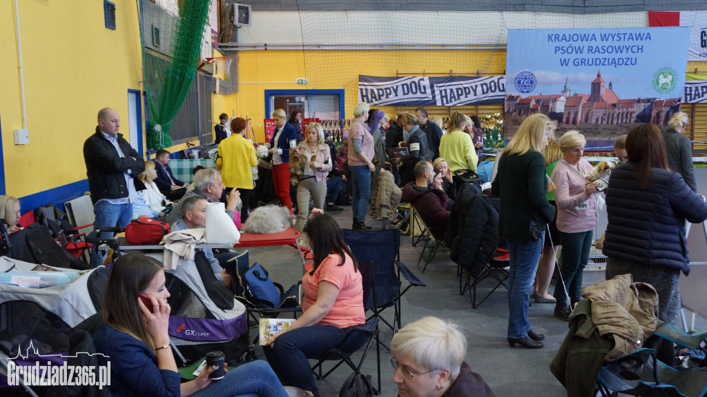Wystawa Psów Rasowych