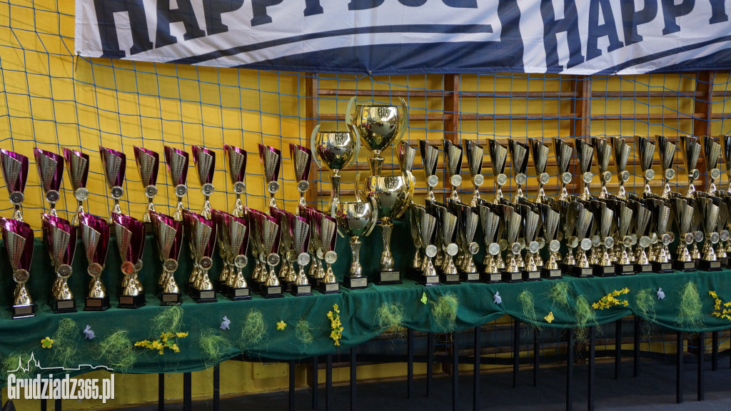 Wystawa Psów Rasowych