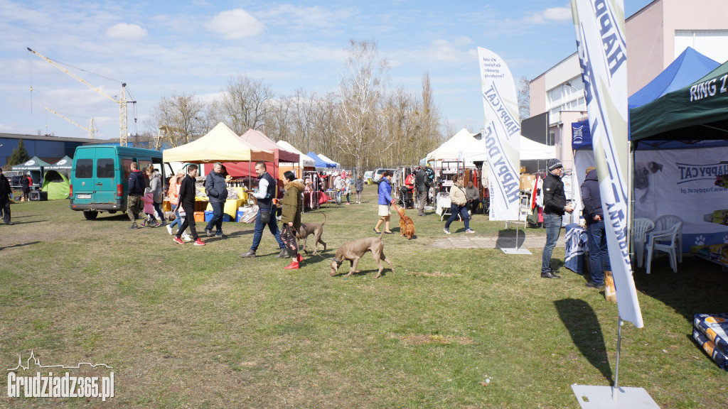 Wystawa Psów Rasowych