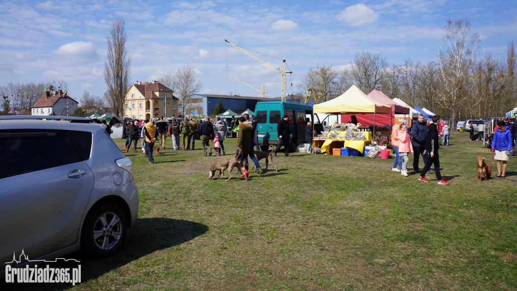 Wystawa Psów Rasowych