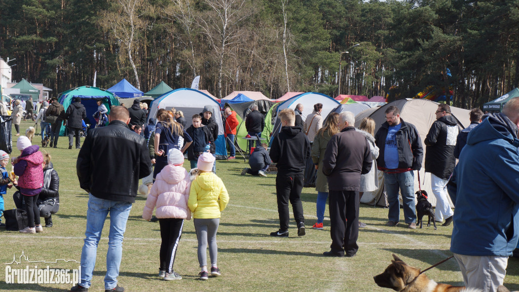 Wystawa Psów Rasowych