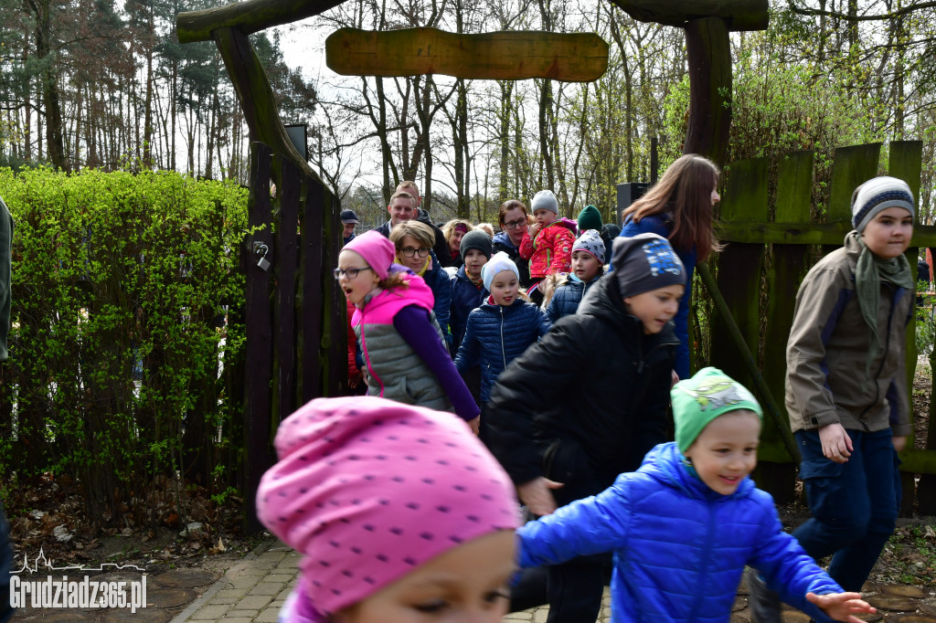 Wielkanocny piknik zorganizowany przez CEE