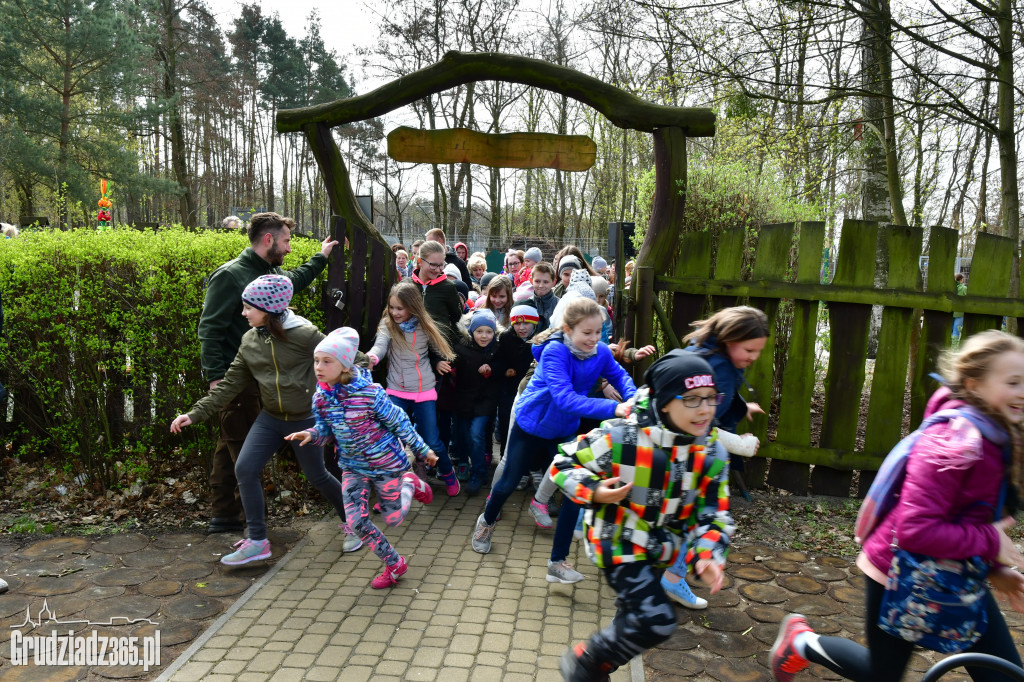 Wielkanocny piknik zorganizowany przez CEE