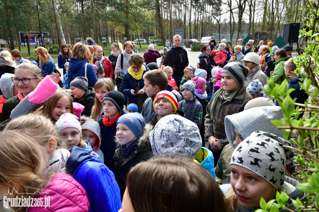 Wielkanocny piknik zorganizowany przez CEE