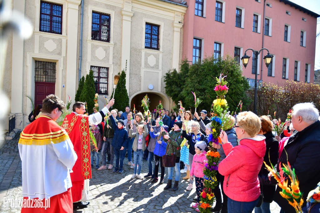 Niedziela Palmowa w naszym mieście