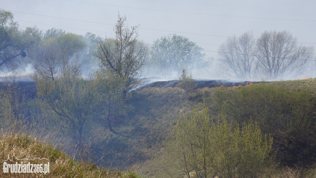 Pożar trawy pod Strzemięcinem
