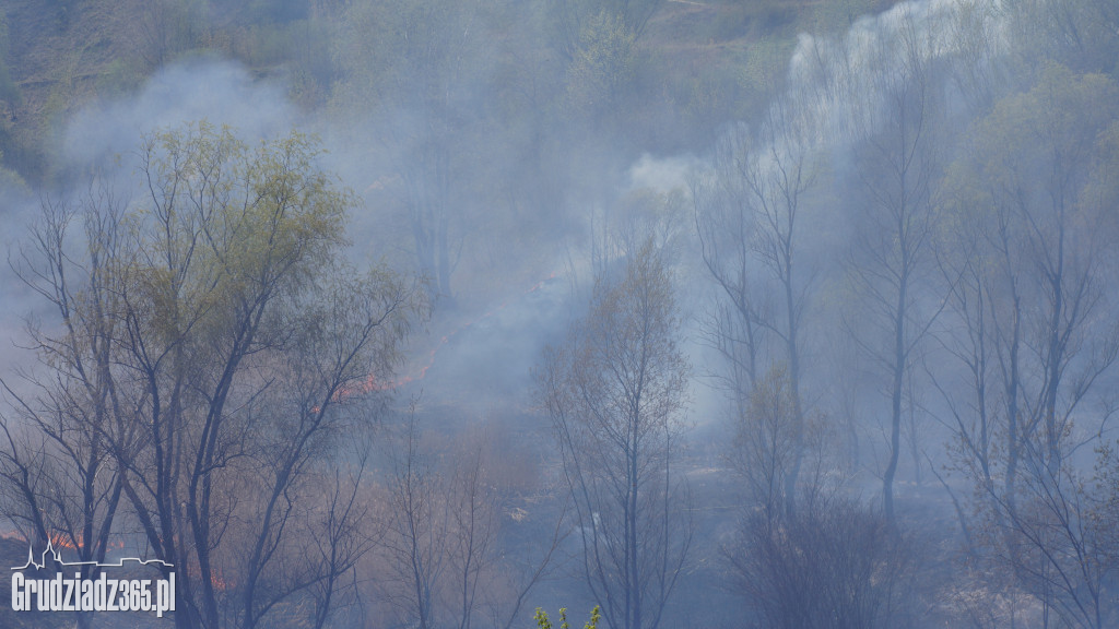 Pożar trawy pod Strzemięcinem