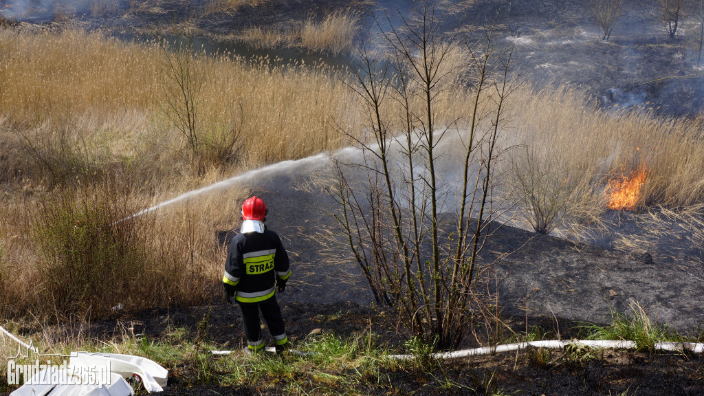 Pożar trawy pod Strzemięcinem