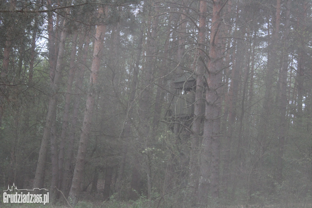 Piknik rodzinny Fort Księża Góra