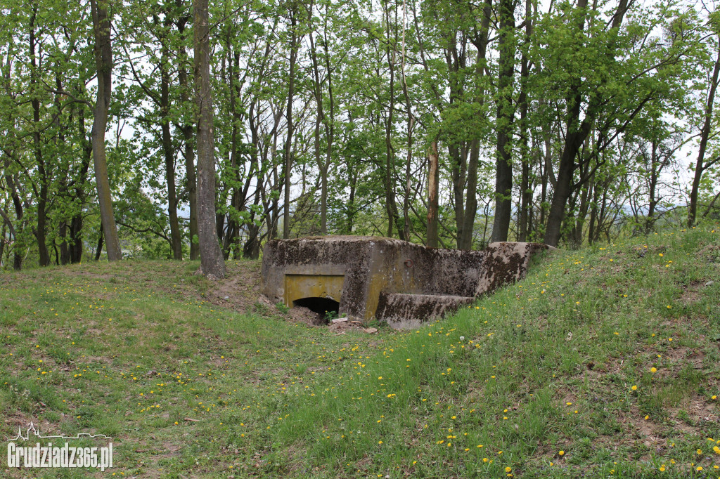 Piknik rodzinny Fort Księża Góra