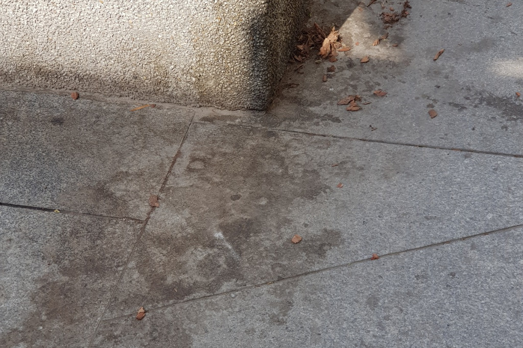 Brudne chodniki w Grudziądzu