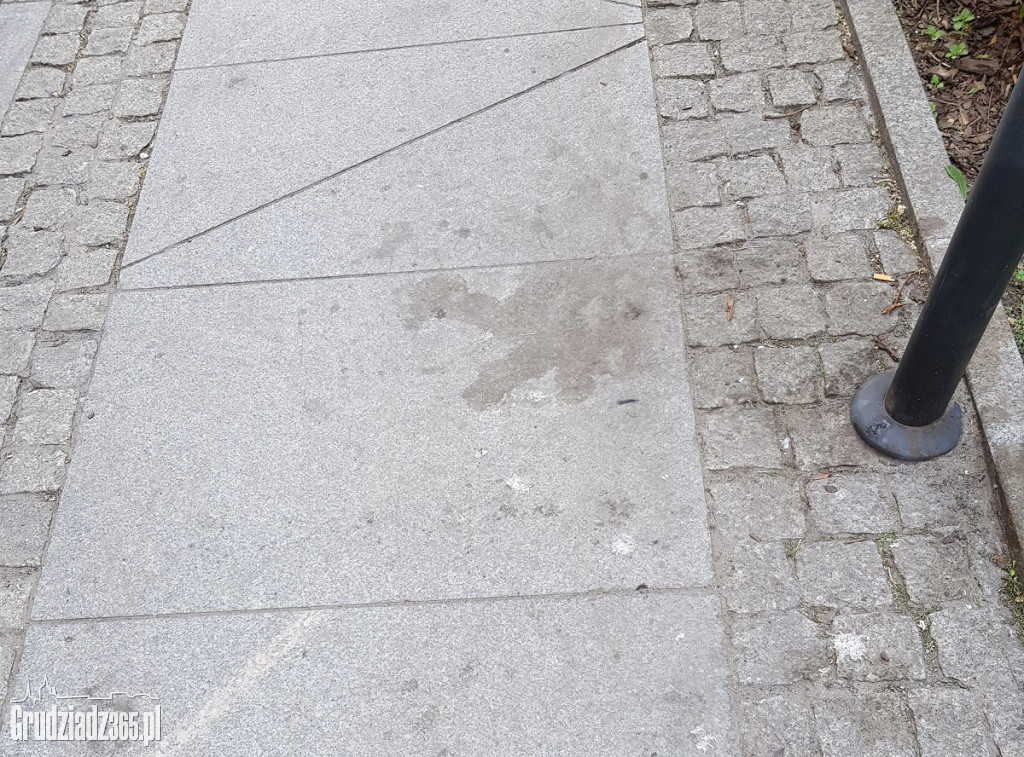 Brudne chodniki w Grudziądzu