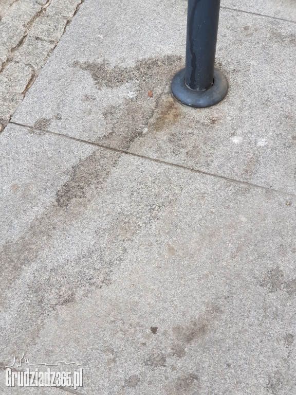 Brudne chodniki w Grudziądzu