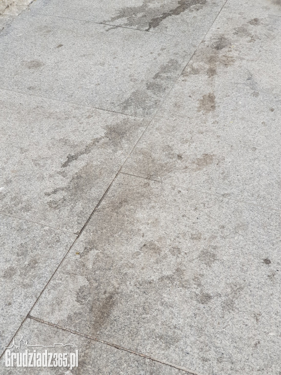 Brudne chodniki w Grudziądzu