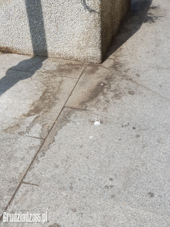 Brudne chodniki w Grudziądzu