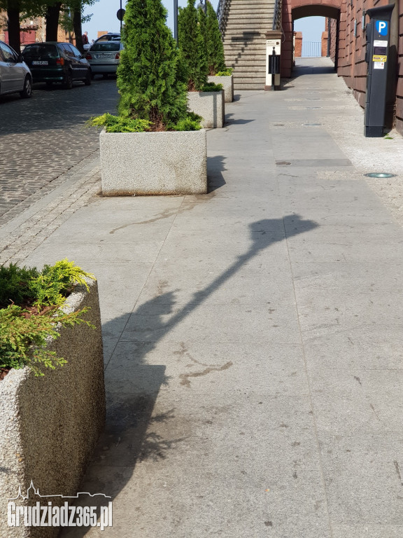 Brudne chodniki w Grudziądzu