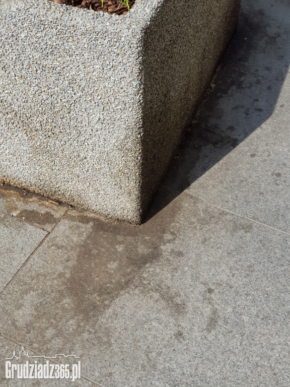 Brudne chodniki w Grudziądzu
