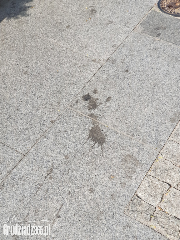Brudne chodniki w Grudziądzu