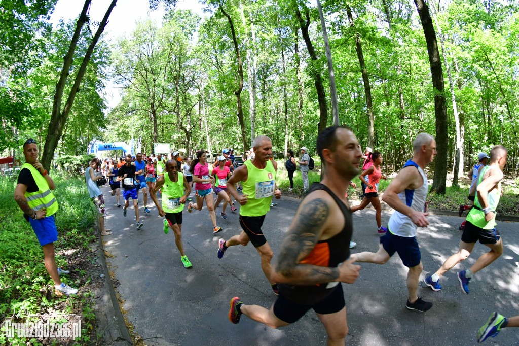 BIEG 3 PLAŻ - Start i Meta