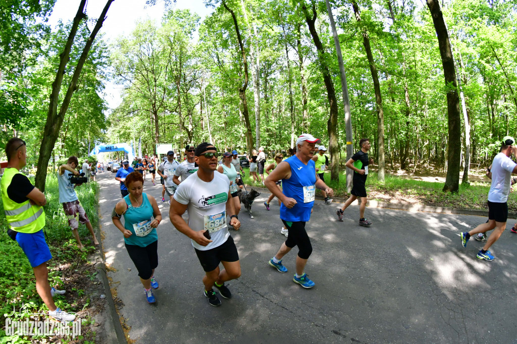 BIEG 3 PLAŻ - Start i Meta