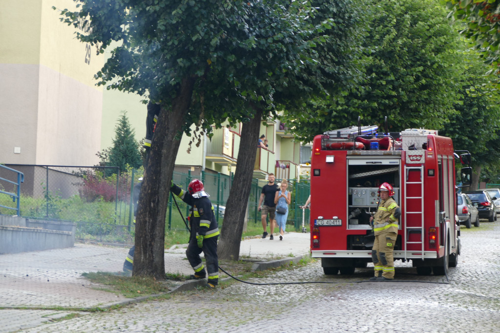 Pożar drzewa przy ulicy Słowackiego