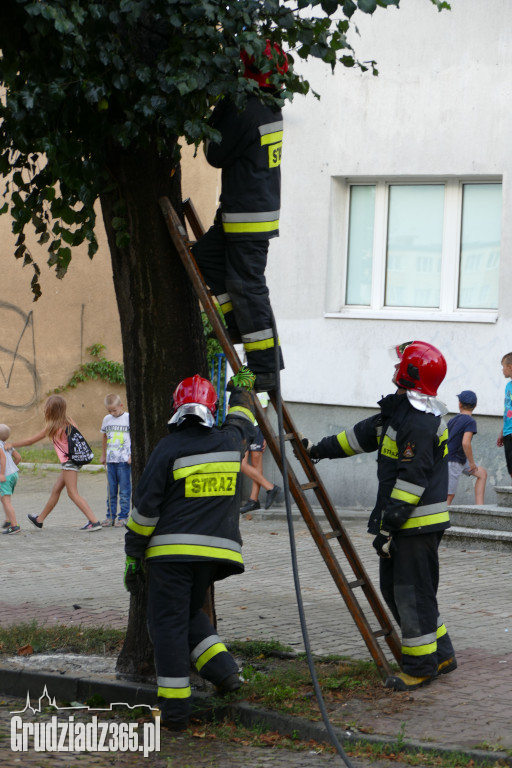 Pożar drzewa przy ulicy Słowackiego