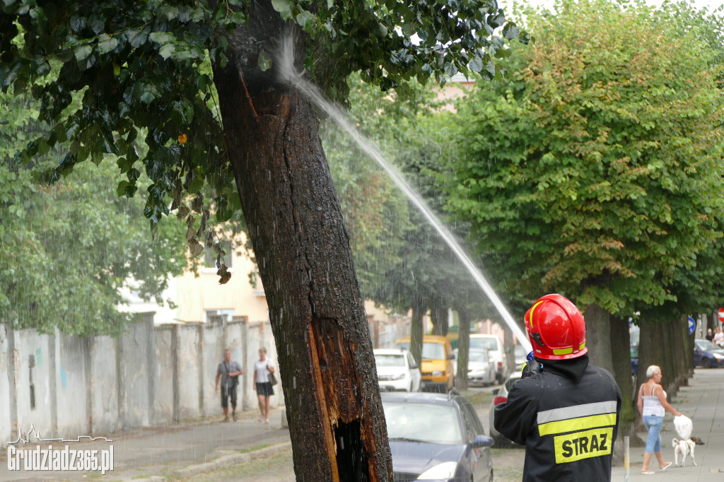 Pożar drzewa przy ulicy Słowackiego