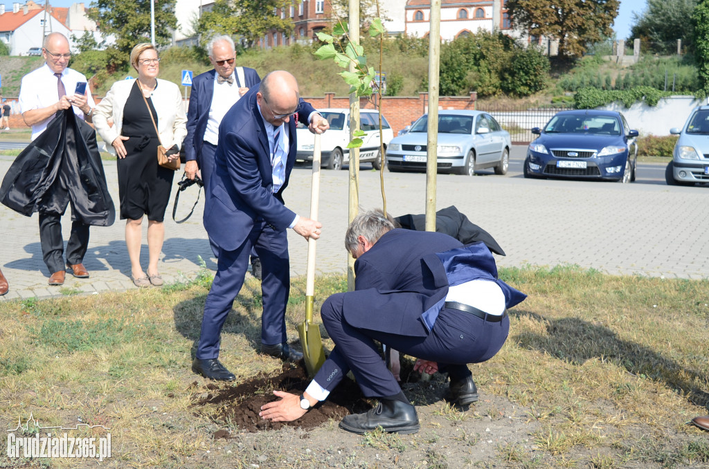 Wielkie sadzenie Drzewek Przyjaźni