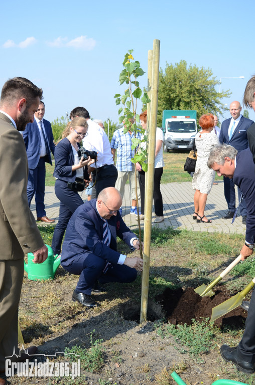Wielkie sadzenie Drzewek Przyjaźni