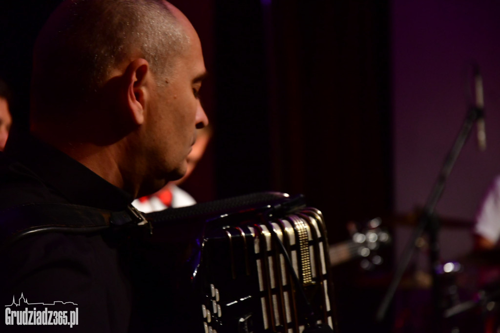 Koncert zespołu Sweet Accordion