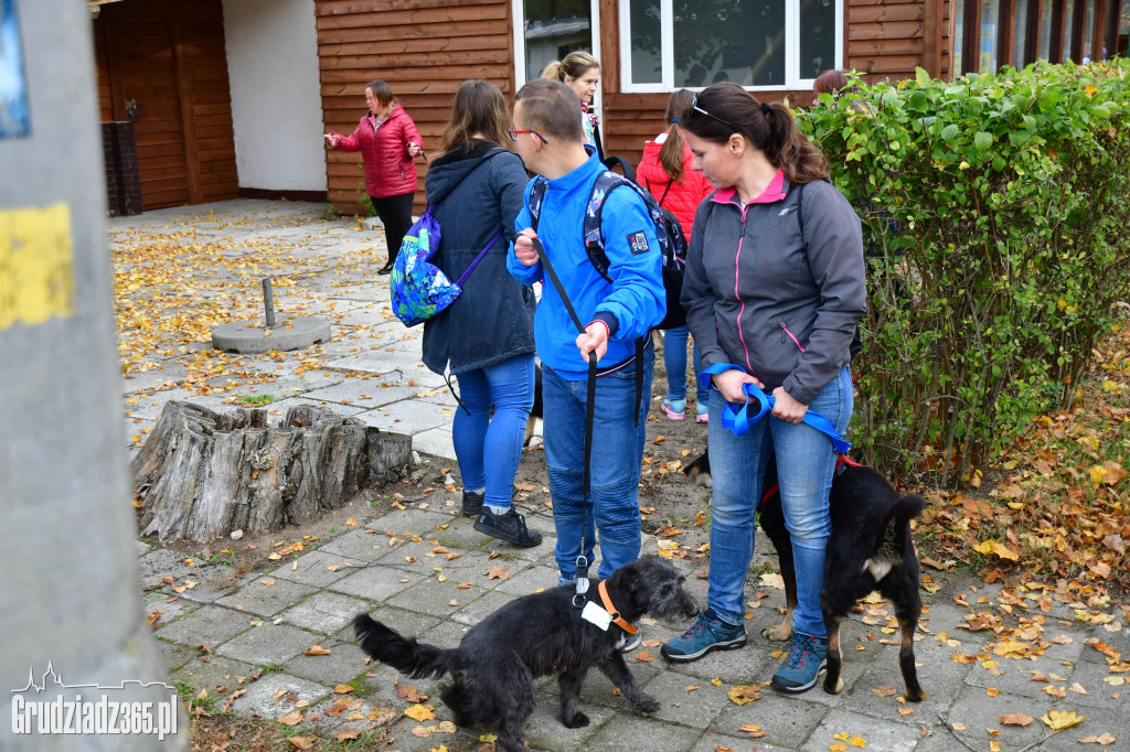 Trzecia edycja- Bieg na 4+2 łapy