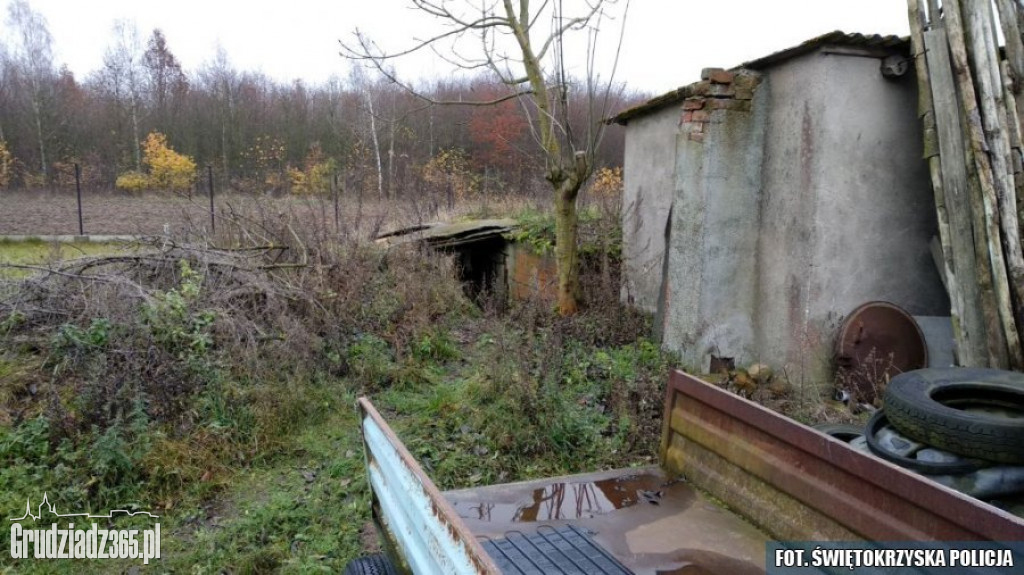 Plantacja marihuany zlikwidowana w Grudziądzu