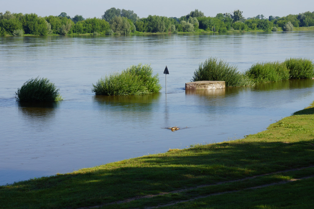 Wysoki poziom wody w Wiśle (30.06.2020r. godz. 8.00)